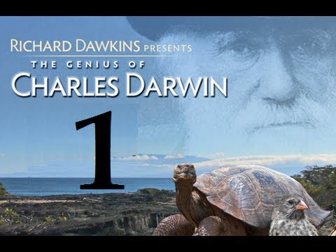 Charles Darwin - Evolutionary Biologist - britishheritage.org