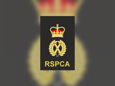 Royal Society for the Prevention of Cruelty to Animals - britishheritage.org