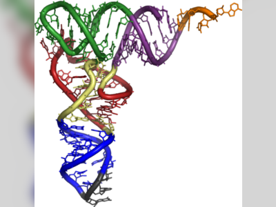 Francis Crick - Nobel Prize for DNA - britishheritage.org